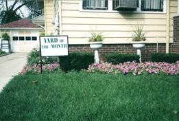 Lawn Care- The Way It Should Be
